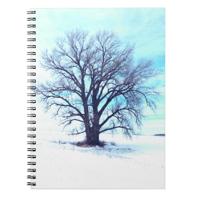 Caderno Espiral Blue Winter (Frente)