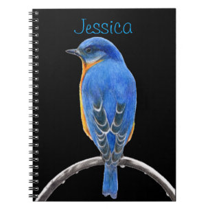 Caderno Espiral Bluebird