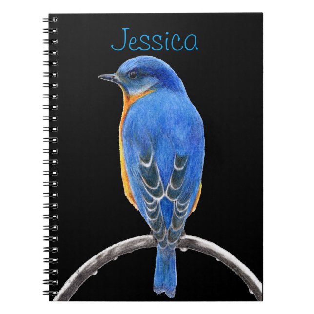 Caderno Espiral Bluebird (Frente)
