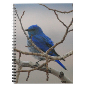 Caderno Espiral Bluebird da montanha