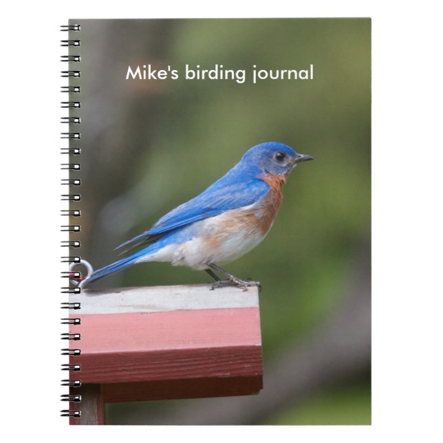 Caderno Espiral Bluebird oriental (Frente)