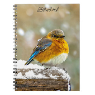 Caderno Espiral Bluebird oriental na neve - Foto original