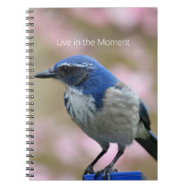 Caderno Espiral Bluebird Rosa Floral (minha fotografia)