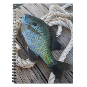 Caderno Espiral bluegill no doca