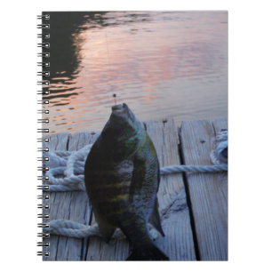 Caderno Espiral Bluegill no lago de Arrohouad ao pôr do sol