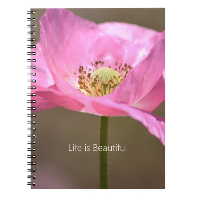 Caderno Espiral Blush Pink Iceland Poppy Flower (my photography) (Frente)
