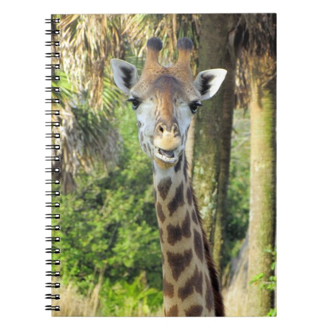 Caderno Espiral Bobo Girafa - Notebook 6,5 x 8,75 (Frente)