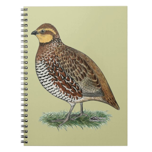 Caderno Espiral Bobwhite Quail Hen (Frente)