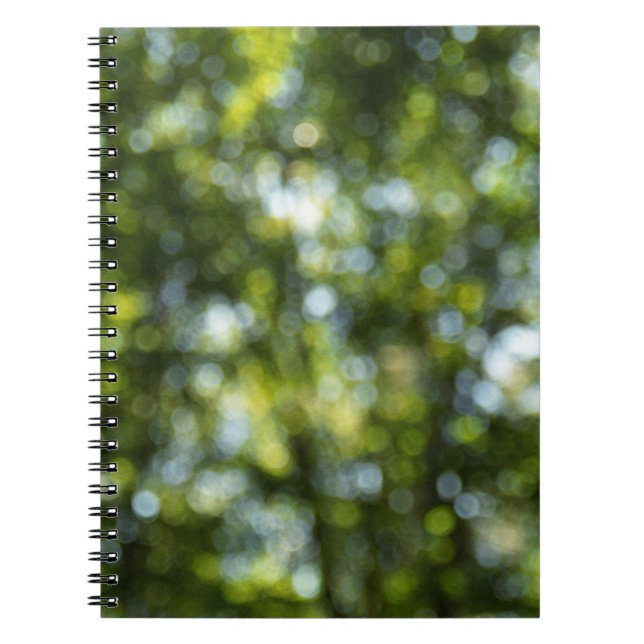 Caderno Espiral Bokeh em Primavera (Frente)