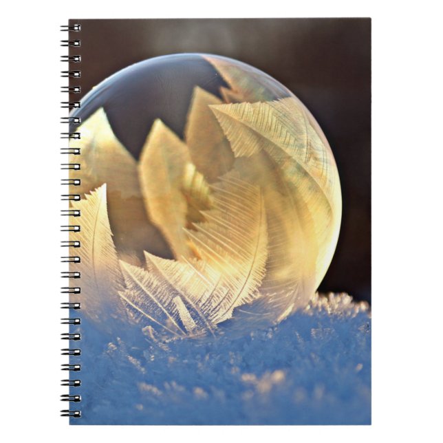 Caderno Espiral Bolha de sabão na neve (Frente)