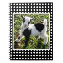 Caderno Espiral Bolinhas Negra e Branca - Criança de Capim Níger