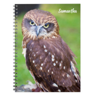 Caderno Espiral Bolsa de Espiral