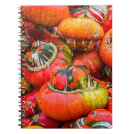 Caderno Espiral Bombas coloridas