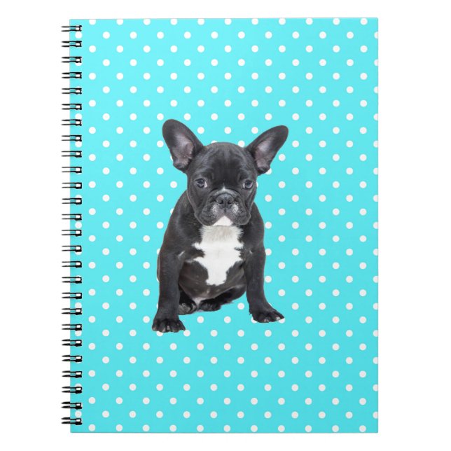 Caderno Espiral Bonita Bolinhas Azuis De Cãezinho Francês (Frente)
