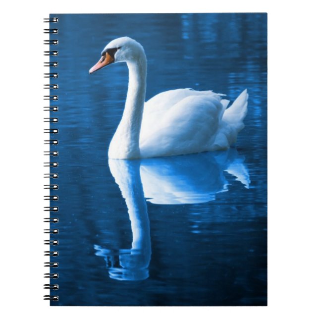 Caderno Espiral Bonito cisne branco flutuando num lago azul (Frente)