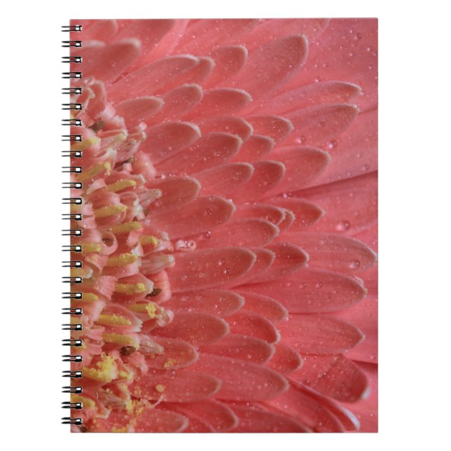 Caderno Espiral Bonito Coral Rosa Gerbera Daisy (Frente)