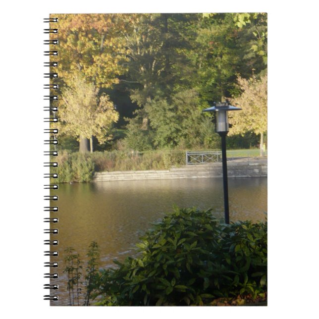 CADERNO ESPIRAL BONITO NOTEBOOK EXPRESSÕES (Frente)