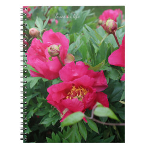 Caderno Espiral Bonito, Pêonias Rosa Bonito