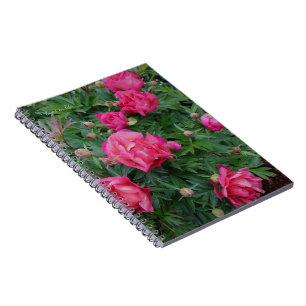 Caderno Espiral Bonito Pink Peony Bush