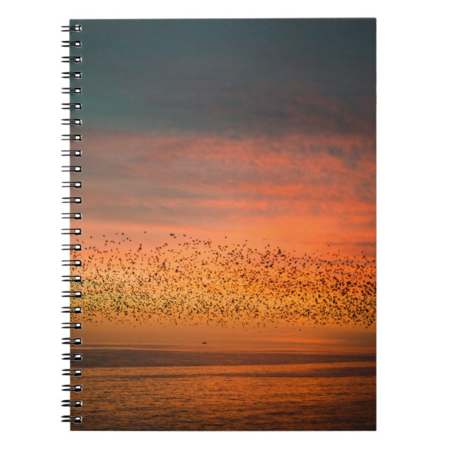 CADERNO ESPIRAL BONITO SOL COM AVES (Frente)