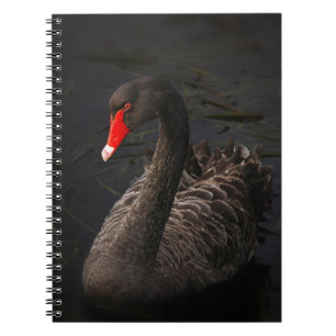 Caderno Espiral Bonito Swan Negro com Bright Beak Vermelho