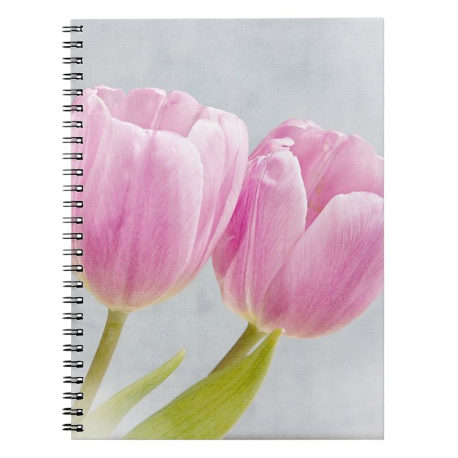 Caderno Espiral Bonito Tulipas Rosa (Frente)