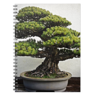 Caderno Espiral Bonsais de White Pine do japonês