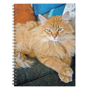 Caderno Espiral Boppy
