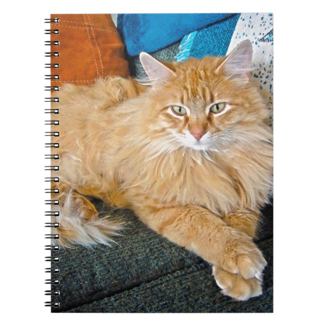 Caderno Espiral Boppy (Frente)