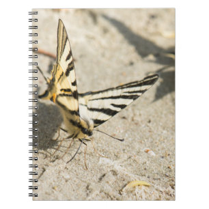 Caderno Espiral Borboleta