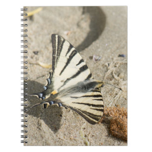 Caderno Espiral Borboleta