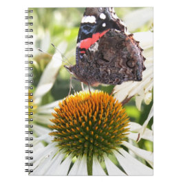 Caderno Espiral Borboleta Almirante na Flor