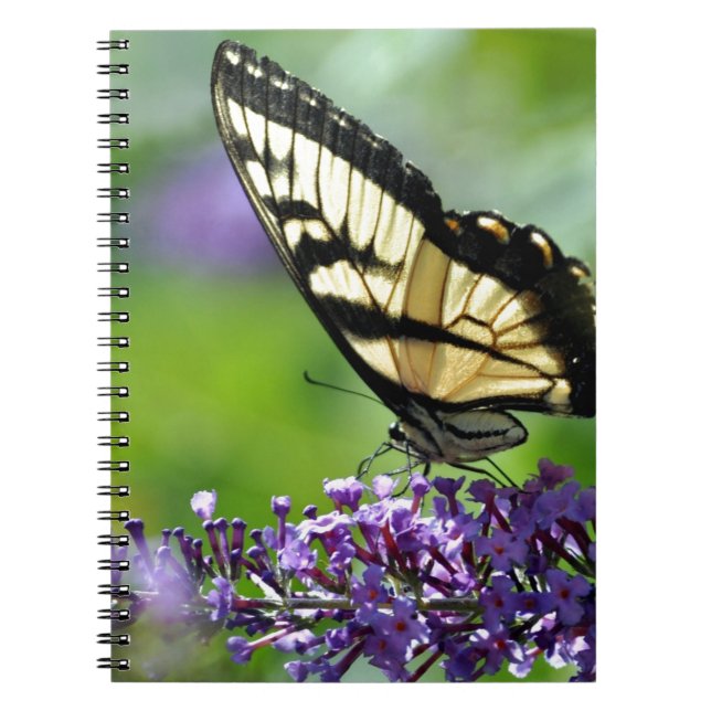 Caderno Espiral Borboleta amarela e preta na Lavanda (Frente)