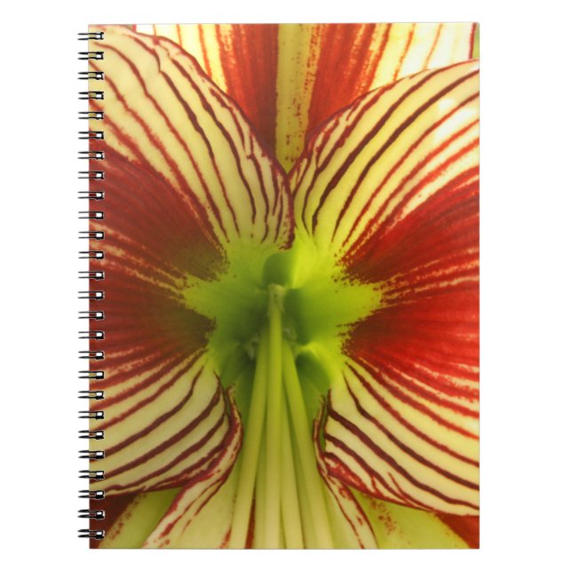 Caderno Espiral Borboleta Amaryllis (Frente)