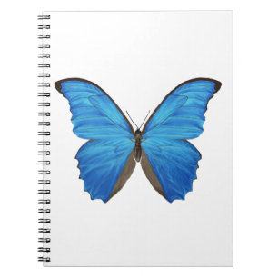 Caderno Espiral Borboleta azul de Morpho