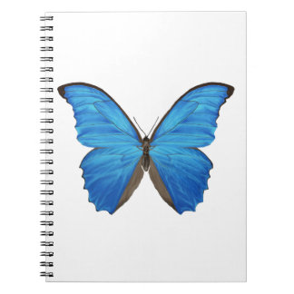 Caderno Espiral Borboleta azul de Morpho