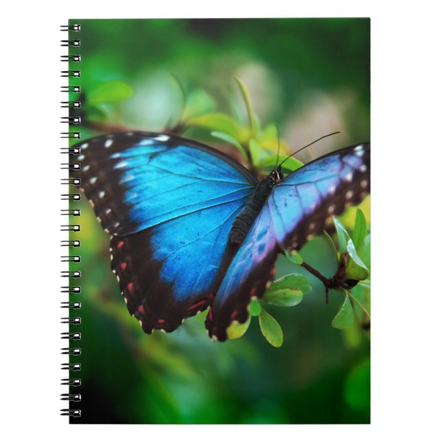 Caderno Espiral Borboleta azul de Morpho (Frente)