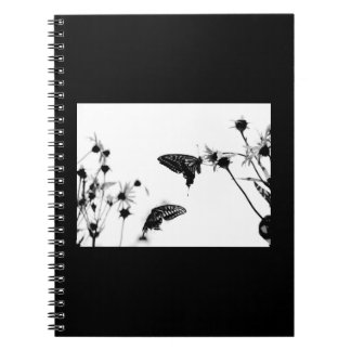 Caderno Espiral Borboleta B/W em um notebook espiral 6,5x8,75 com 
