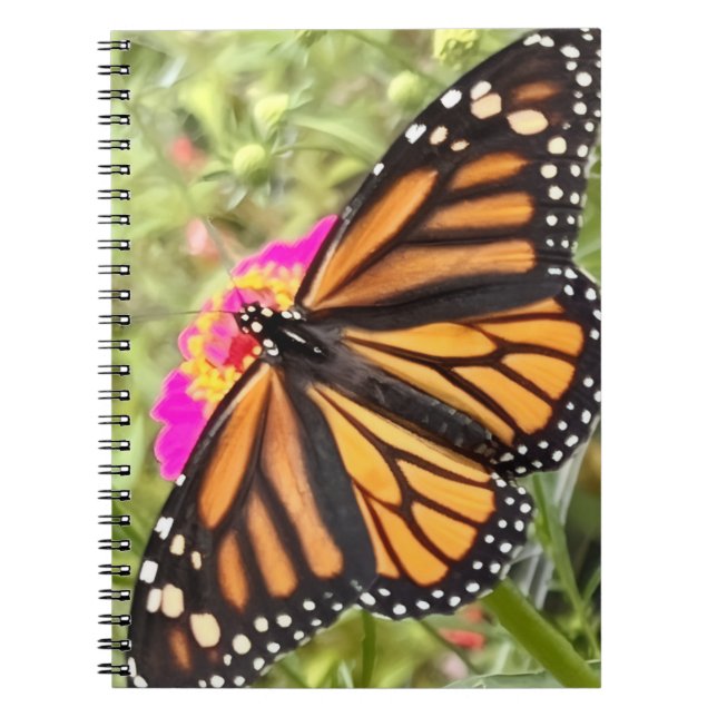 Caderno Espiral Borboleta colorida (Frente)