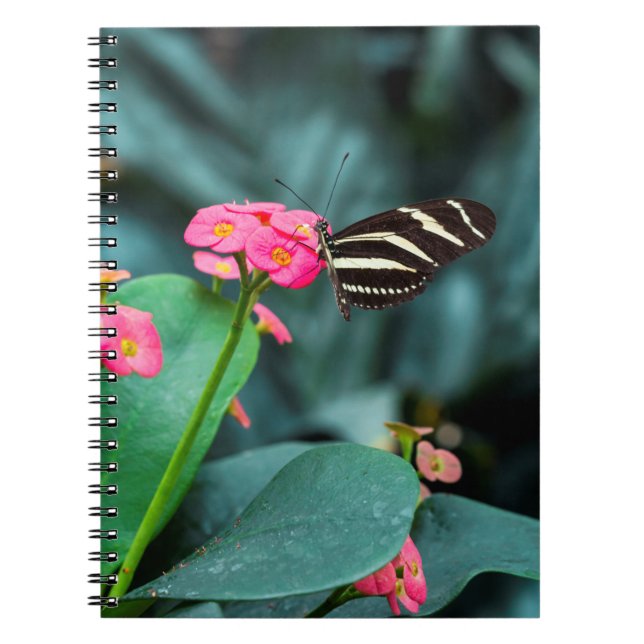 Caderno Espiral borboleta colorida no jardim (Frente)