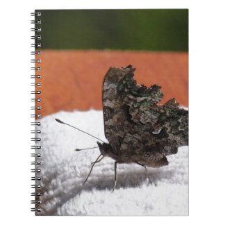 Caderno Espiral Borboleta de Camuflagem Escura