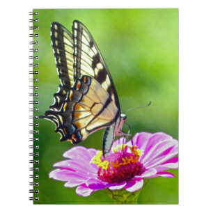 Caderno Espiral Borboleta do Swallowtail de Tigre