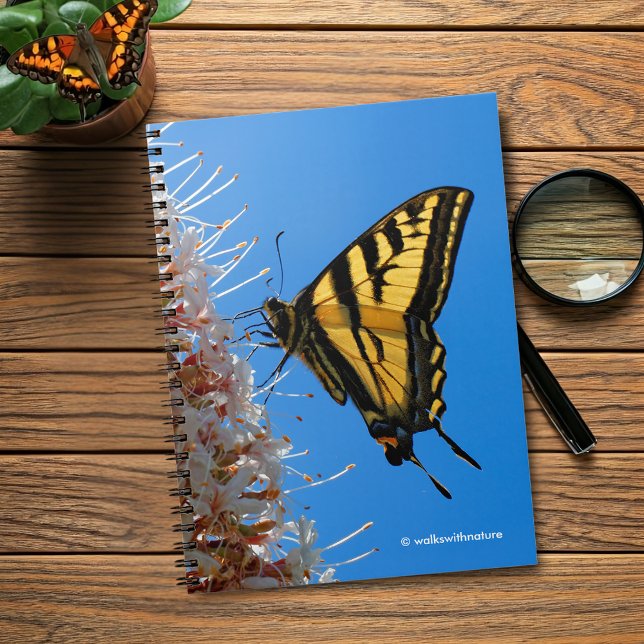Caderno Espiral Borboleta do Swallowtail de Tigre Ocidental no Buc (Western Tiger Swallowtail Butterfly on the Buckeye Journal Cover Photo)