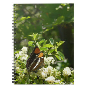 Caderno Espiral Borboleta Irmã da Califórnia em Yosemite
