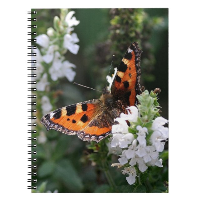 Caderno Espiral Borboleta Laranja e Brilhantes Brancos (Frente)