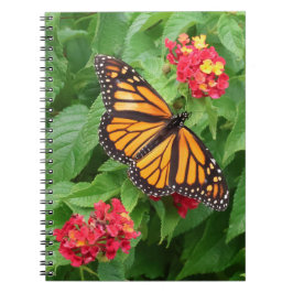 Caderno Espiral Borboleta Monarca em Lantana