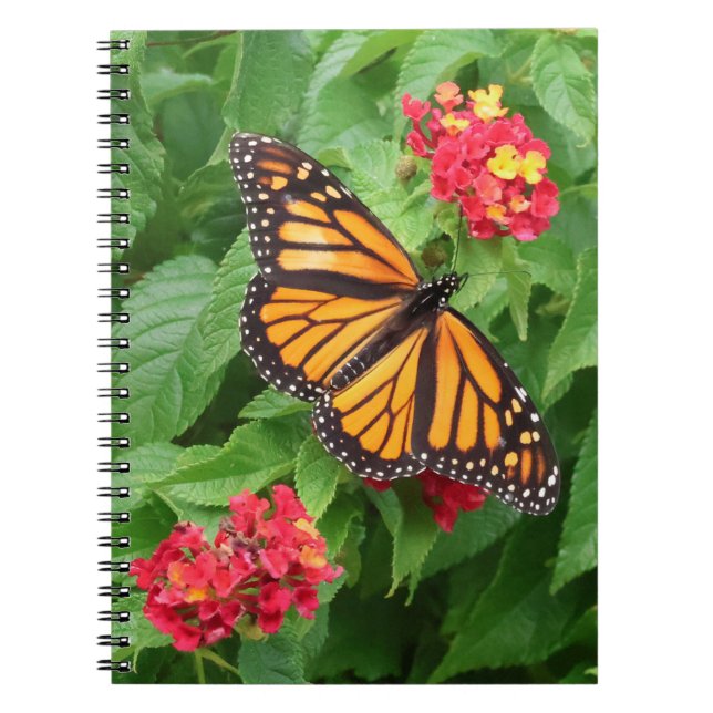 Caderno Espiral Borboleta Monarca em Lantana (Frente)