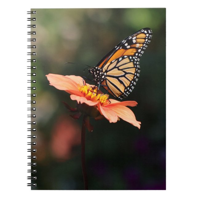 Caderno Espiral Borboleta Monarca em Verbena & Dahlia (Frente)