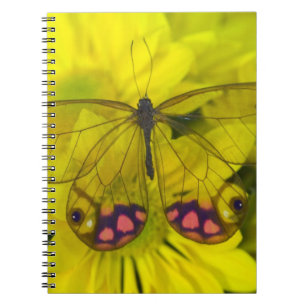 Caderno Espiral Borboleta no Amarelo