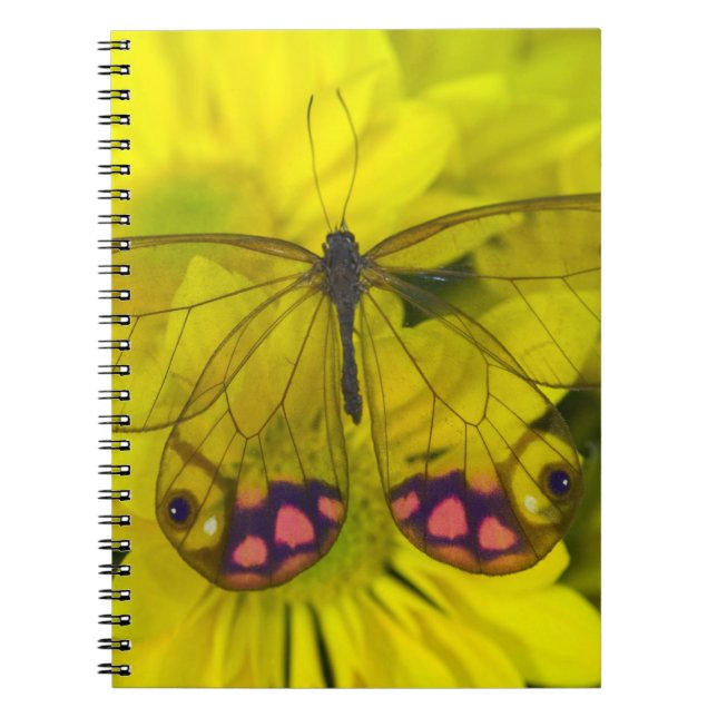 Caderno Espiral Borboleta no Amarelo (Frente)